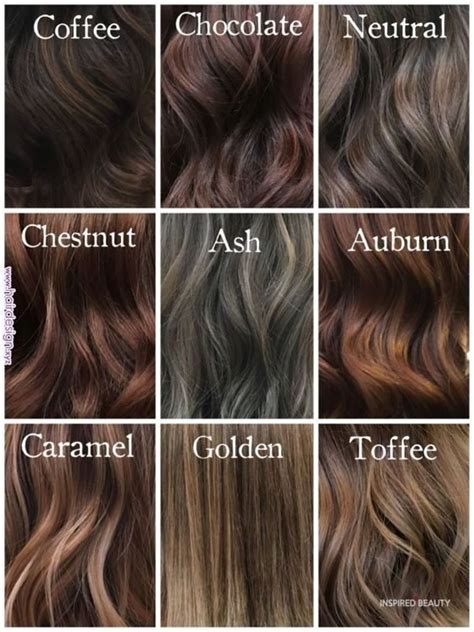 different colors of brunette hair